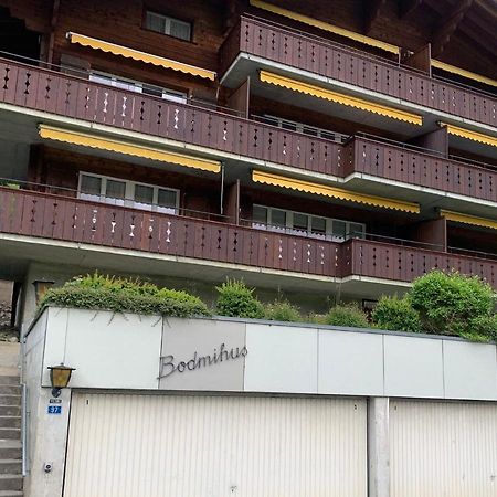 Luxury, New - Amazing Views Grindelwald Eiger Jungfrau Moench Apartment Ngoại thất bức ảnh