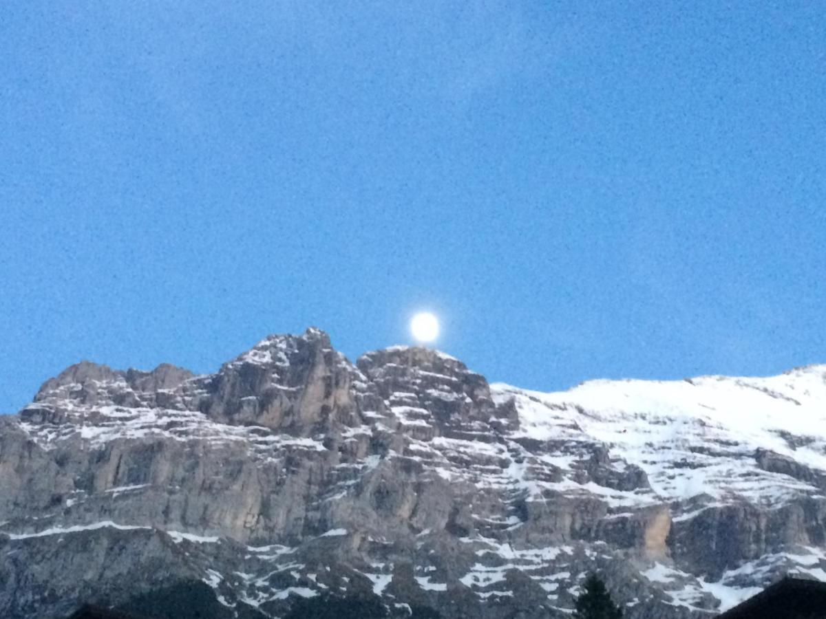 Luxury, New - Amazing Views Grindelwald Eiger Jungfrau Moench Apartment Ngoại thất bức ảnh