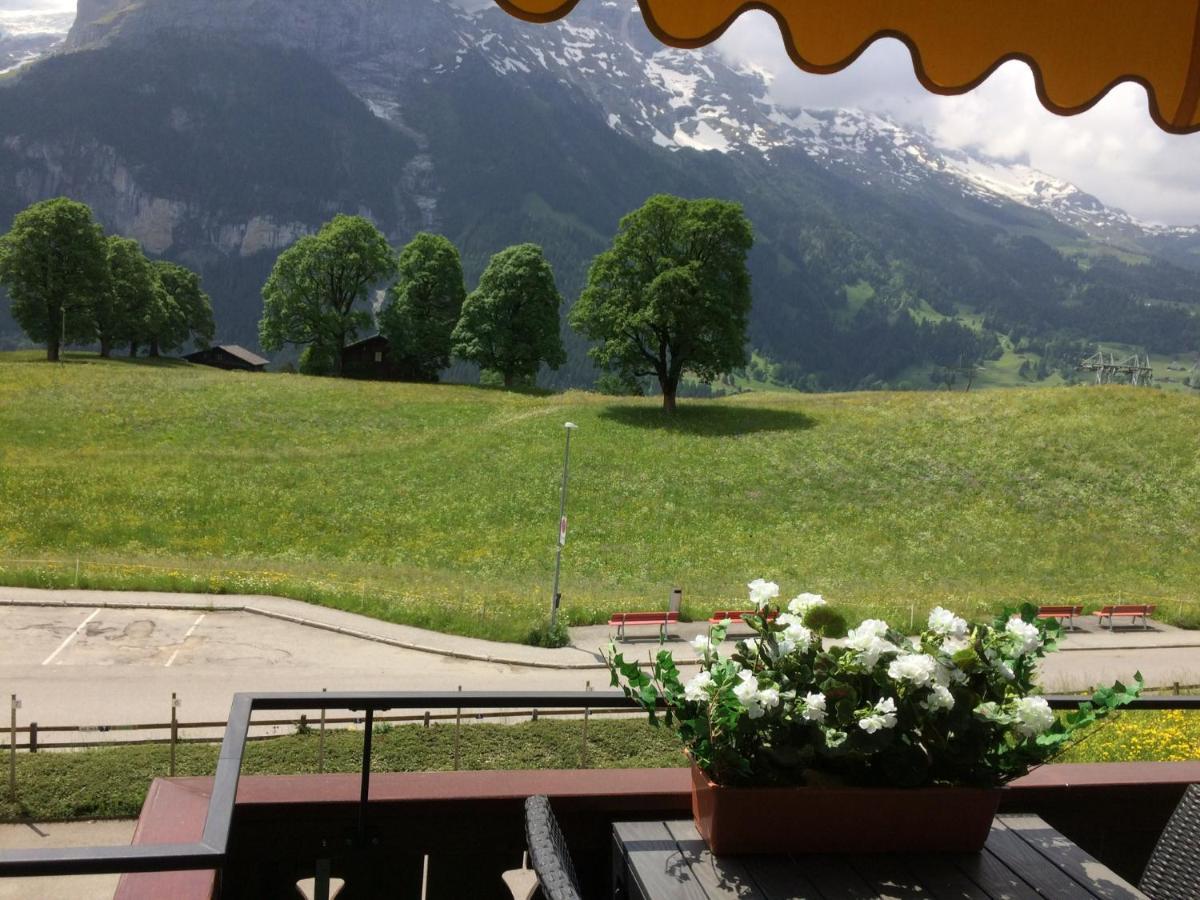 Luxury, New - Amazing Views Grindelwald Eiger Jungfrau Moench Apartment Ngoại thất bức ảnh