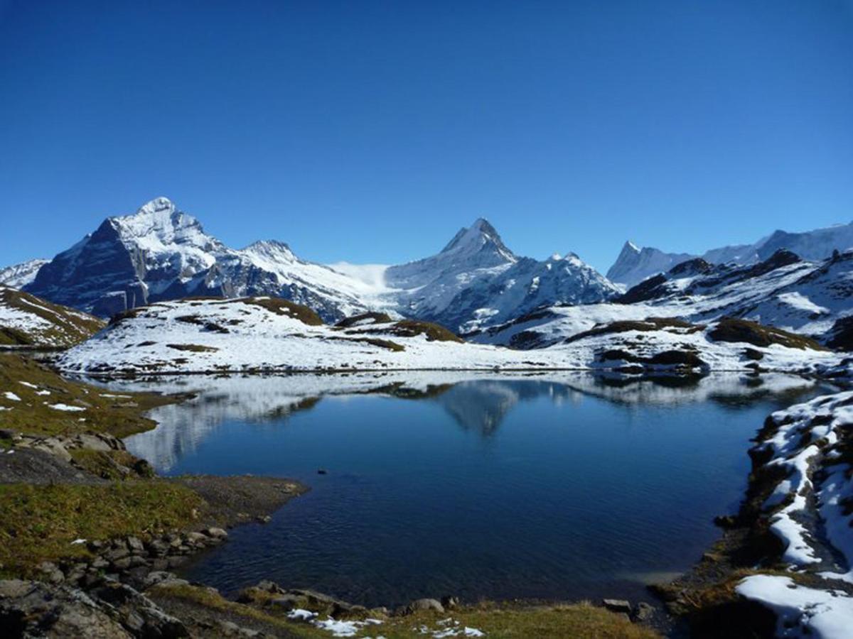 Luxury, New - Amazing Views Grindelwald Eiger Jungfrau Moench Apartment Ngoại thất bức ảnh
