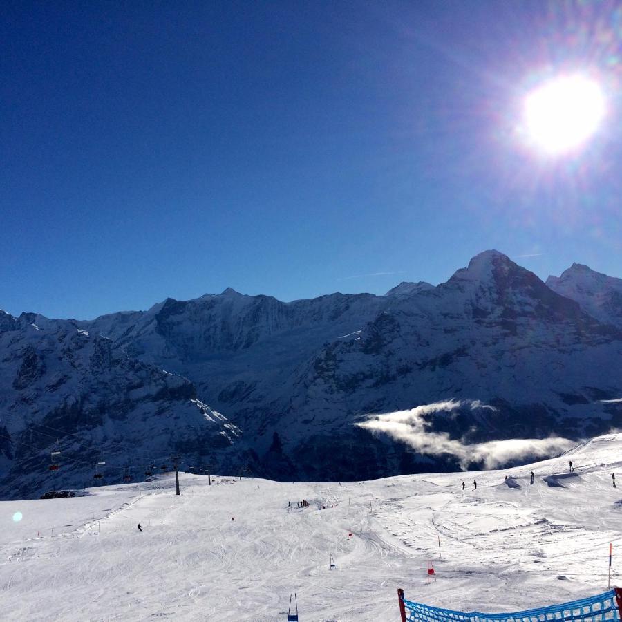 Luxury, New - Amazing Views Grindelwald Eiger Jungfrau Moench Apartment Ngoại thất bức ảnh